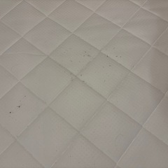 プッパプーポ　マットレス　120×120の画像