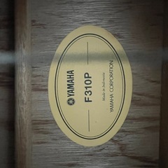 ギターF310Pの画像