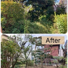 お庭のお手入れ致します！高木・ジャングルOK!! - 剪定/造園