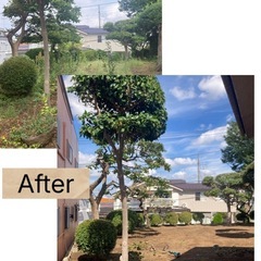 お庭のお手入れ致します！高木・ジャングルOK!! - 地元のお店