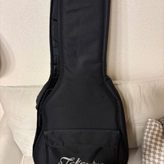 タカミネ　エレアコ　グリーン　緑の画像