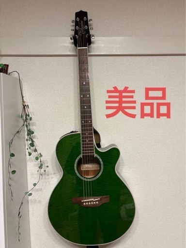 タカミネ　エレアコ　グリーン　緑