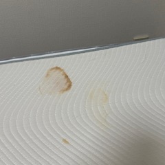 コアラマットレス セミダブルの画像