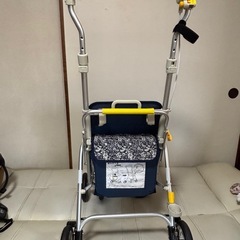 【送料込み】Health Bag (ライトミニ M) シルバーカーの画像