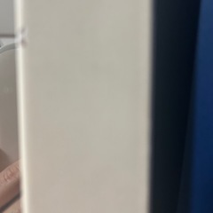 全身鏡<3/20までの出品>の画像