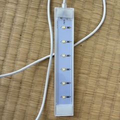 本日限定⑫水槽ライトセットの画像