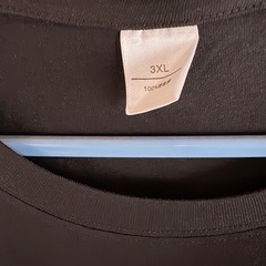 VANSON柄入り（前後プリント）のTシャツ新品未使用品✨USサイズの画像