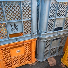 【お話中】収穫用コンテナ　　の画像