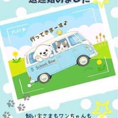 犬の保育園送迎はじめました🐾BOWペット送迎 - ペット