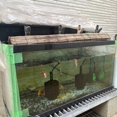 金魚水槽一式の画像
