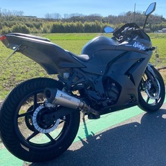 早い者勝ち 実働 自賠責付 カワサキ Ninja ニンジャ 250R JBK-EX250K グリップタイヤ 社外マフラー アクラポビッチ LEDテールの画像