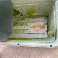 （相談中）プランター　ワイヤーネット　などの画像