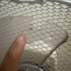 至急！【取りに来て頂ける方限定】扇風機の画像