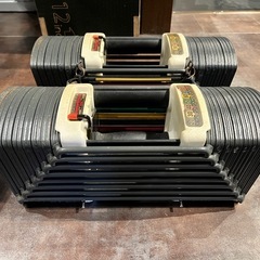 アジャストダンベル　パワーブロックの画像