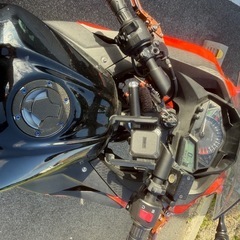 Kawasaki Ninja 250 SEの画像