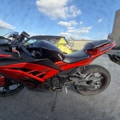 Kawasaki Ninja 250 SEの画像