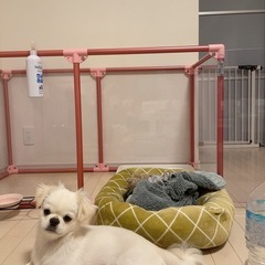 決まりました！犬  ペット ゲージ サークルの画像