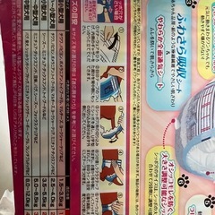 小型犬　マナーウェア　sssサイズ　の画像