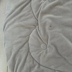 ベビー　ジムの画像