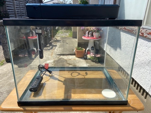 60㎝×45㎝×45㎝  ワイド水槽とフィルターセット