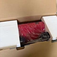 ♪4089 ヤーマン AYS-35R スイングビート レッド 未使用 YA-MAN 振動マシン マッサージ ダイエット エクササイズ 健康維持の画像