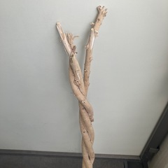 流木　  
の画像