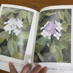 【中古品】水彩アート　入門　　付録もついてますの画像