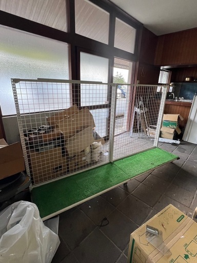 【明日まで！】陳列棚　　タテヤマゴンドラ2連キャスター付き今週中