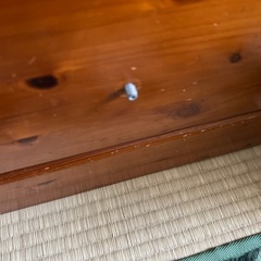 チェスト
の画像