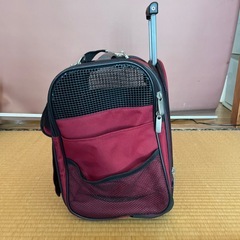 犬キャリーの画像