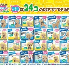 セガフェイブ (SEGA FAVE) ココ さかだちして クリームの画像