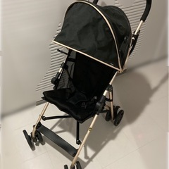 【美品】バギーfanロングプラスＧの画像