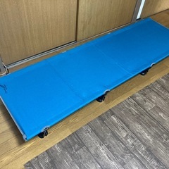 ローコット　　ノースイーグルの画像