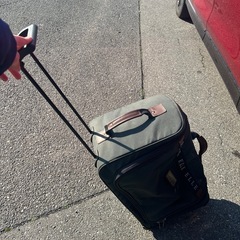 キャリーバッグの画像