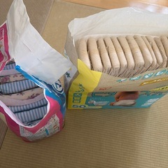 ワンちゃん用オムツ　Mの画像