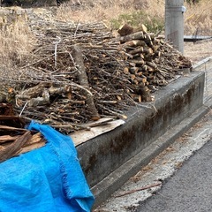 いつもありがとうございます　　　梅の枝と
柿の枝を出しましたの画像