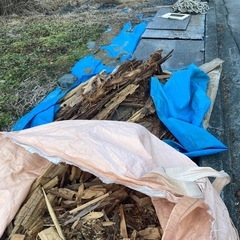 いつもありがとうございます　　　梅の枝と
柿の枝を出しましたの画像