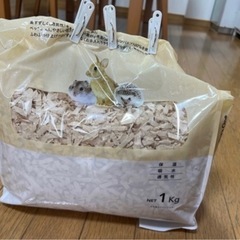 GEXグラスハーモニー450  他ハムスター飼育セットの画像