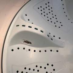 AQUA製の全自動電気洗濯機（AQW-S45H）の画像