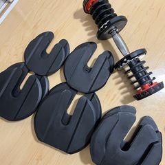 可変式ダンベル40Kg×2個
の画像