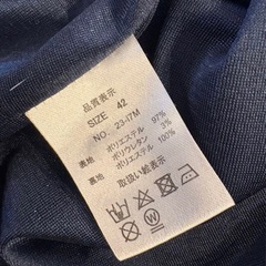 レジーナリスワンピースL
の画像