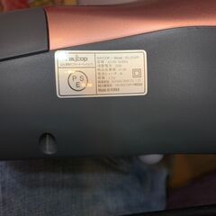 布団用掃除機RAYCOP BG-310JPPの画像