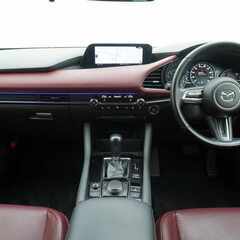 🐣安心の保証付き🐣革シート・Bluetooth・バックカメラ🐣の画像