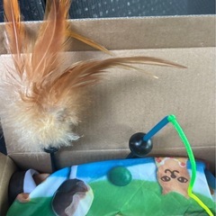 キャッチミーイフユーキャン 着せ替え 猫 おもちゃ の画像