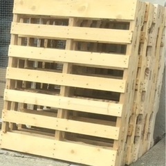 パレット1枚100円の画像