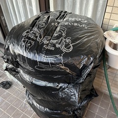 スタッドレス+純正アリスト16インチホイールの画像