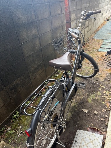 電動車