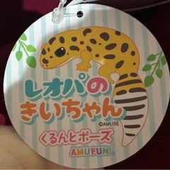 レオパのきいちゃんくるんとポーズの画像