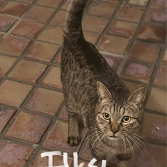 代理投稿。可愛がってあげてください😭