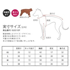 ドッグウェアの画像